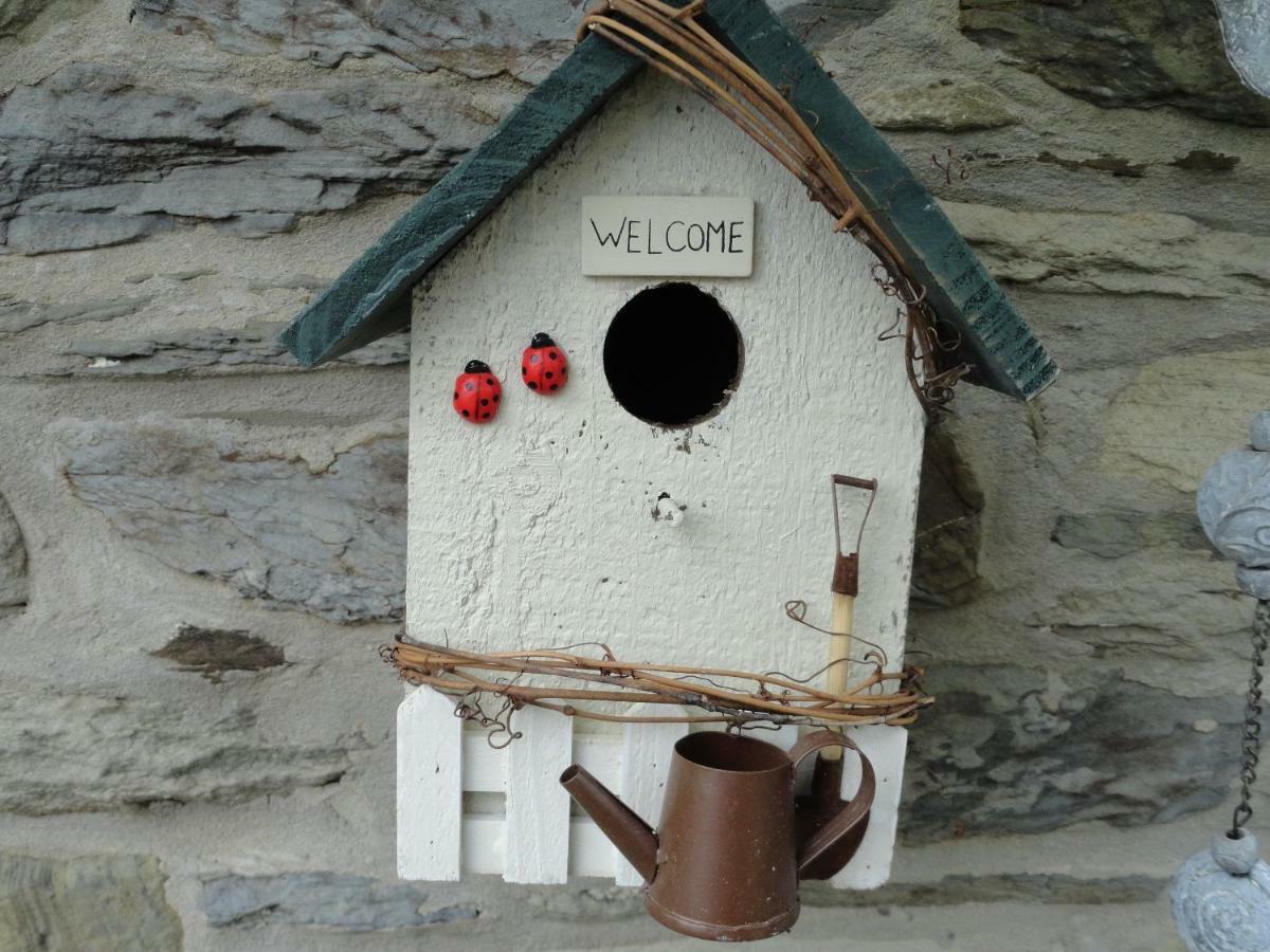 Le Heron Houffalize Dış mekan fotoğraf